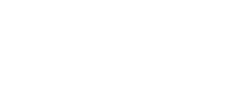 PALMARY